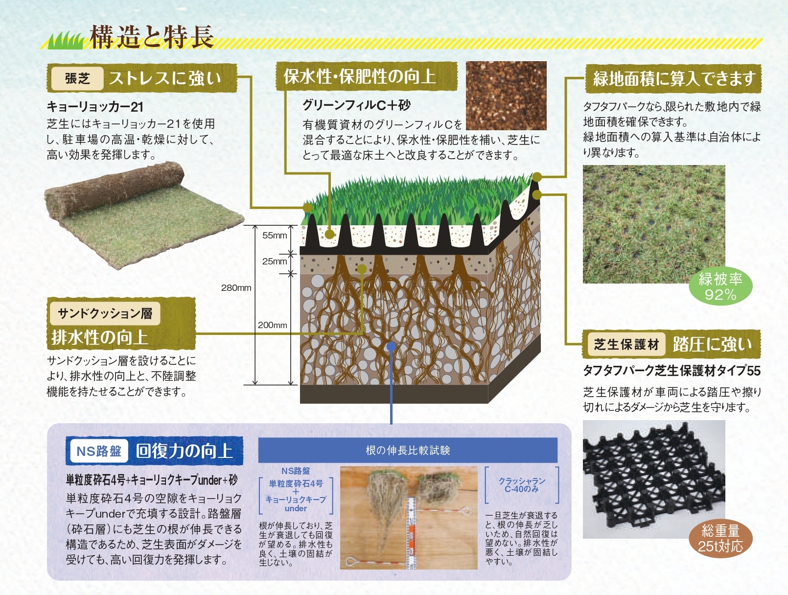特長