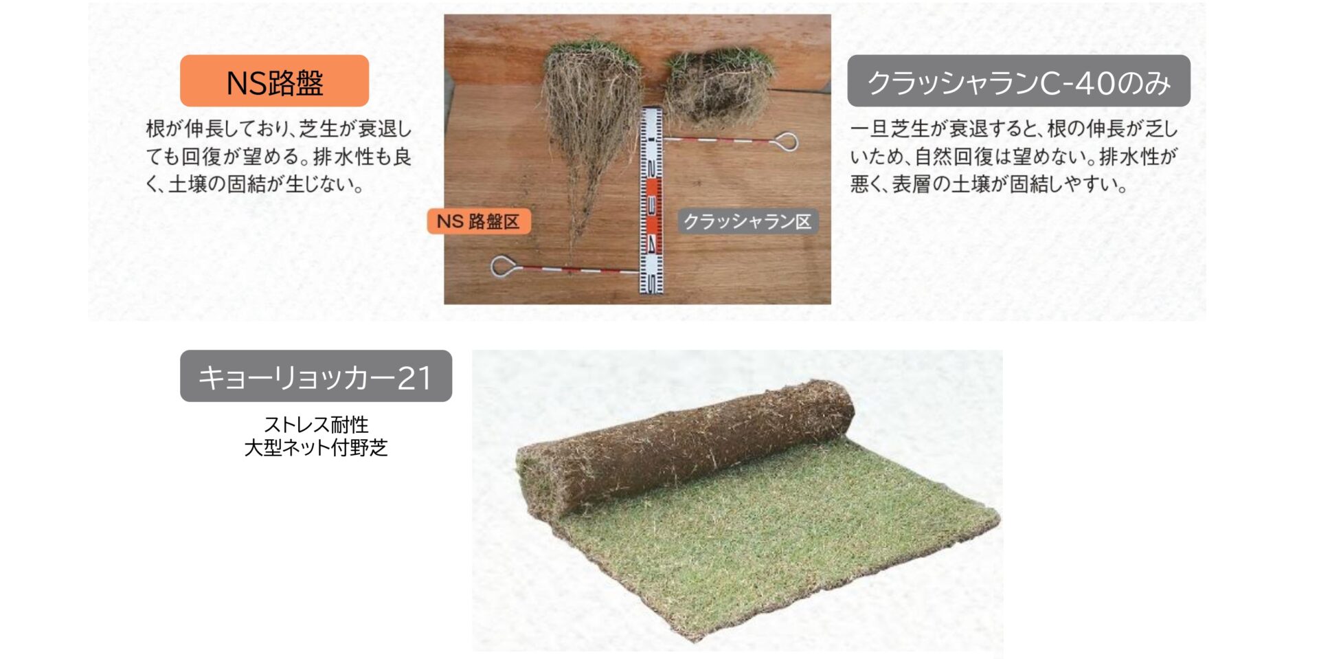 特長