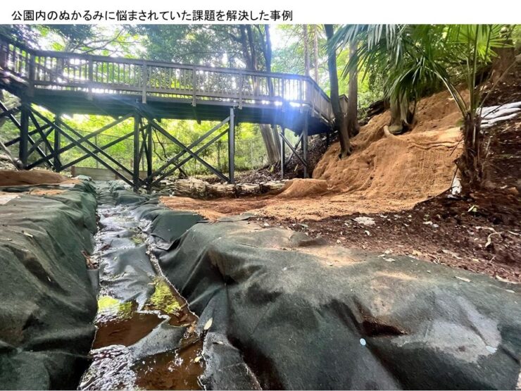 硬化テキメン