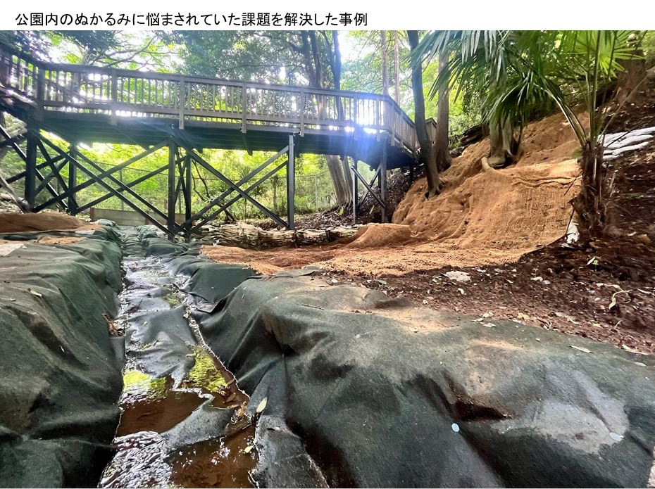 硬化テキメン