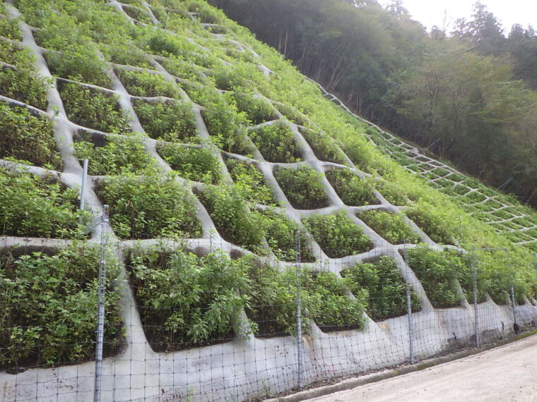 林道名村川線災害復旧工事