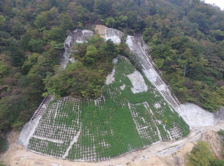 大ツゲ谷復旧治山工事