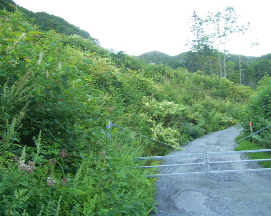 施工後3年10ヶ月