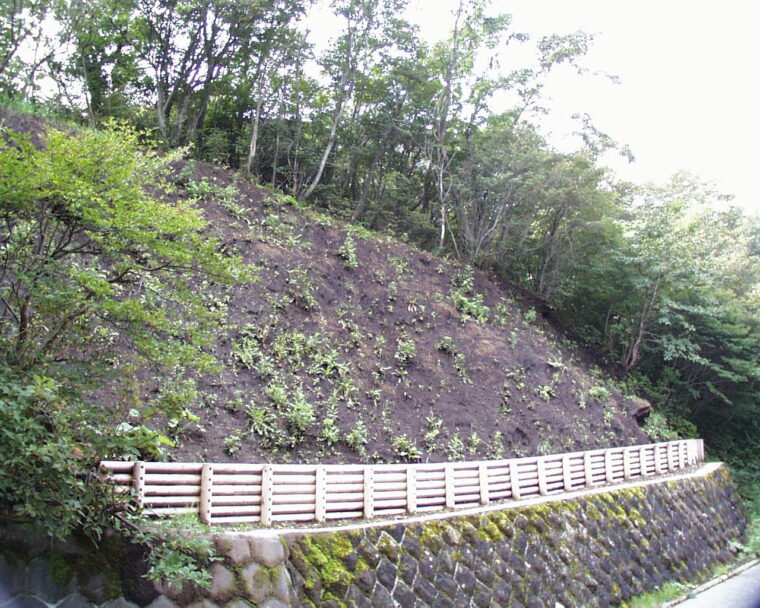 ポロト湖地区治山工事