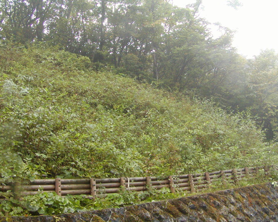 施工後4年4ヶ月