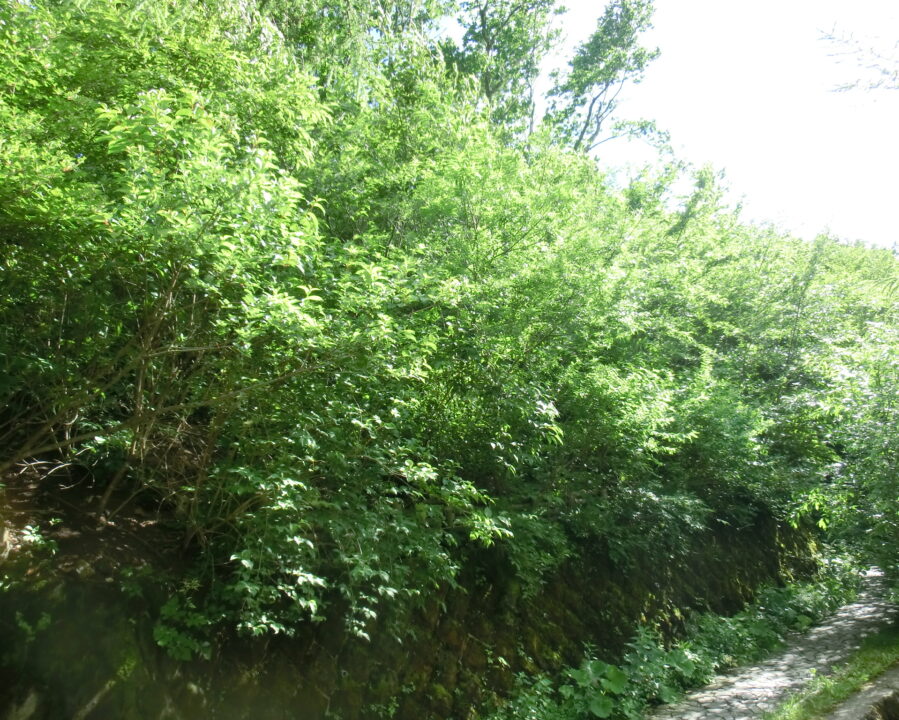 施工後11年2ヶ月