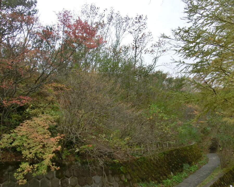 施工後12年5ヶ月