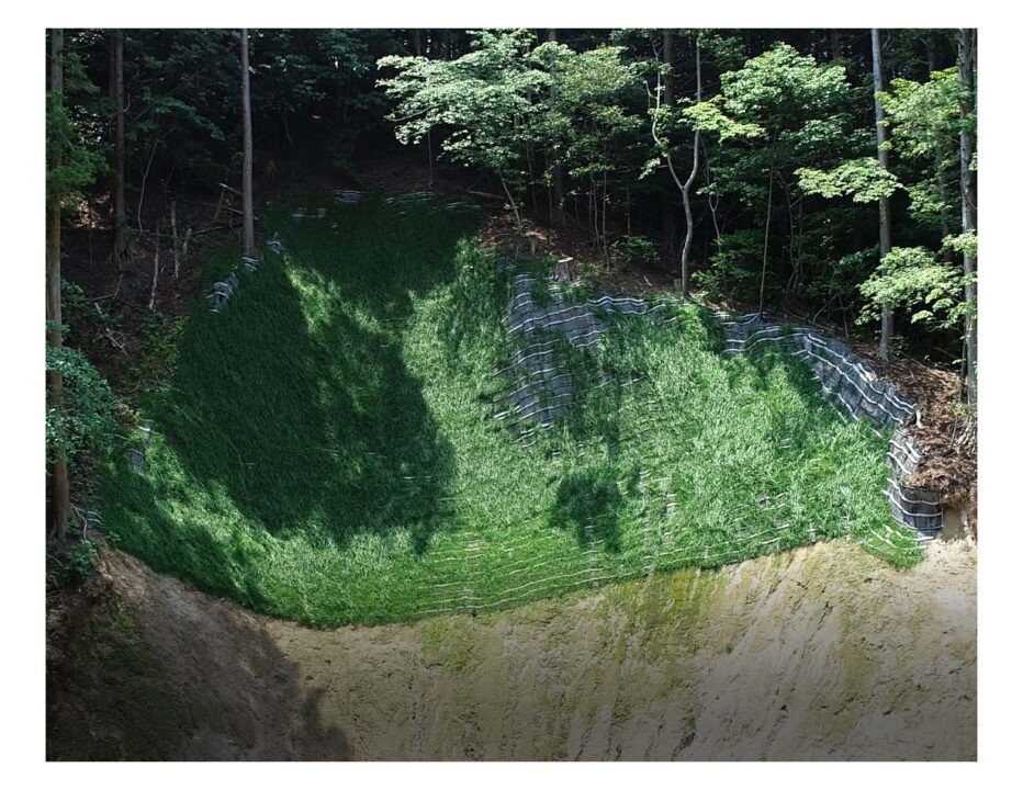 植生状況