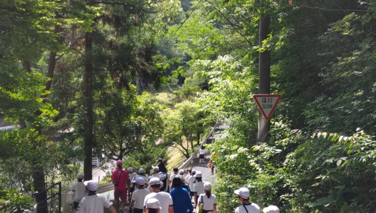 研究圃場で環境学習のお手伝い2025