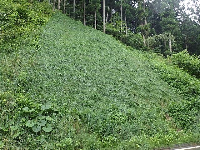 施工後2ヶ月