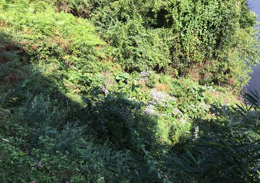 施工後10ヶ月①