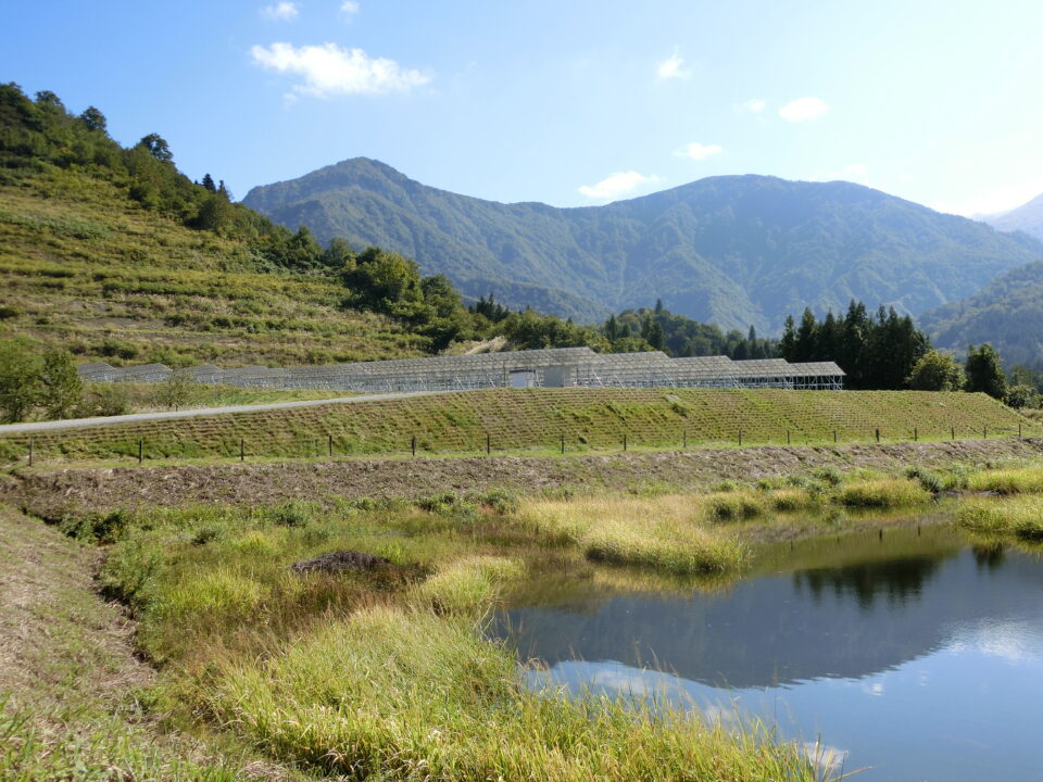 施工後11ヶ月③