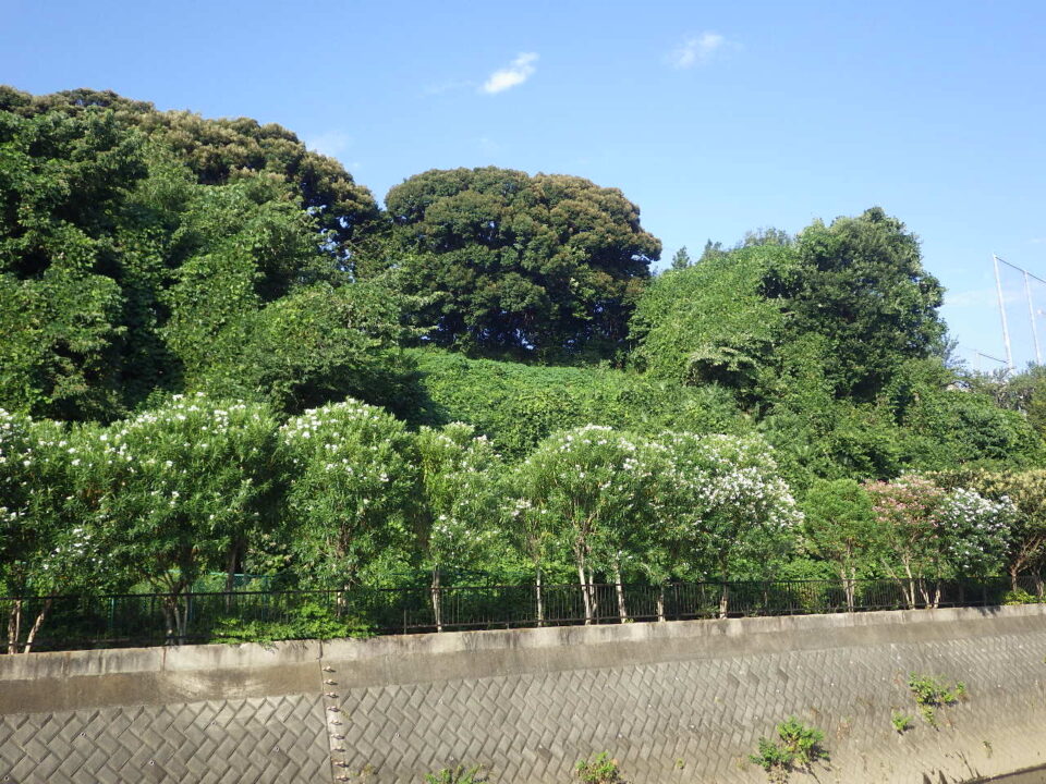 施工前②