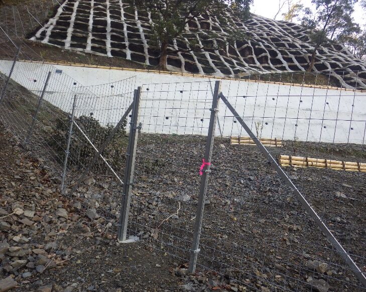 施工後2ヶ月(簡易門扉)