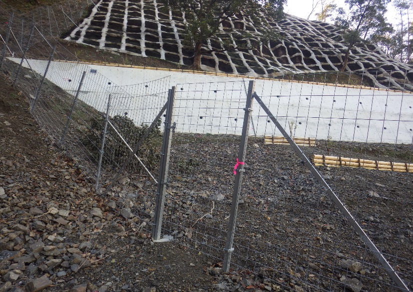 施工後2ヶ月④簡易門扉