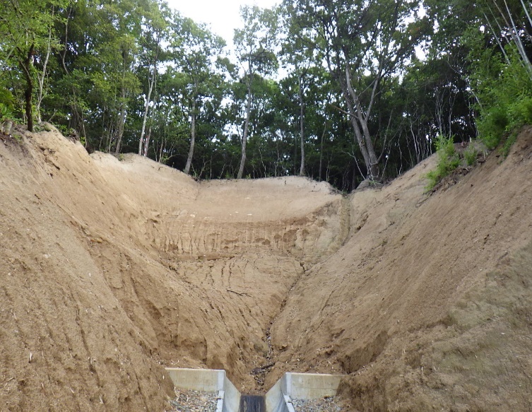史跡和歌山城災害復旧工事