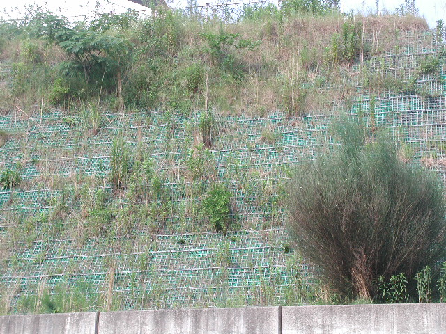 施工後1年2ヶ月②