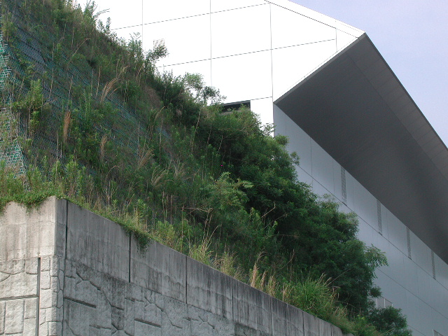 施工後1年2ヶ月③