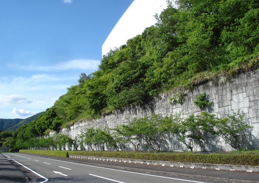 施工後15年2ヶ月①