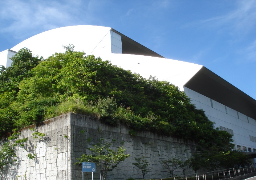 施工後15年2ヶ月②