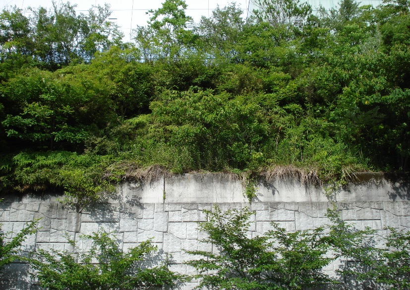 施工後15年2ヶ月③