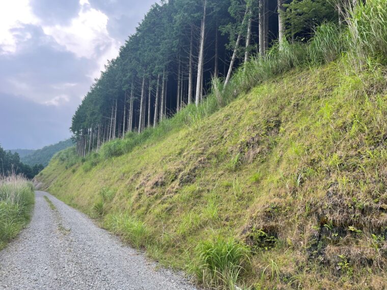 国道454号道路災害防除工事