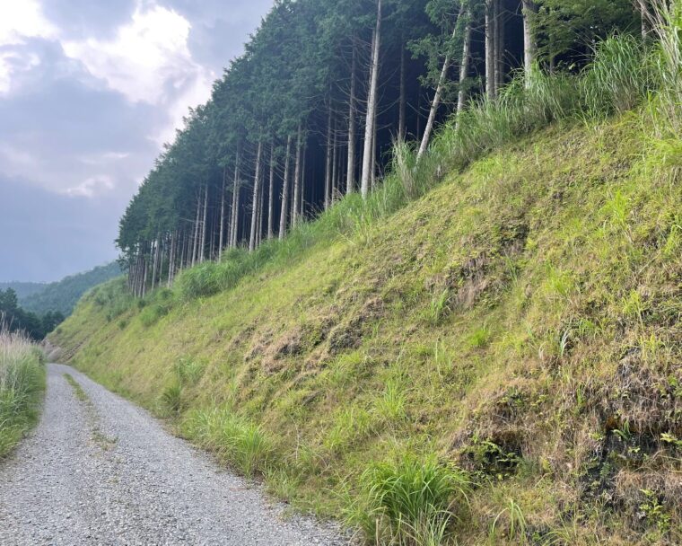 国道454号道路災害防除工事