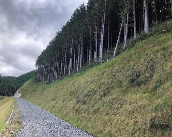 施工後1年2ヶ月