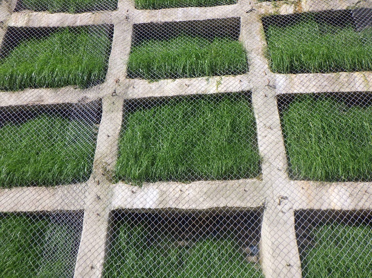 施工後2ヶ月
