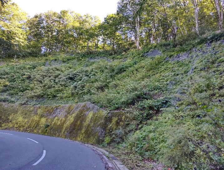 施工後1年2ヶ月