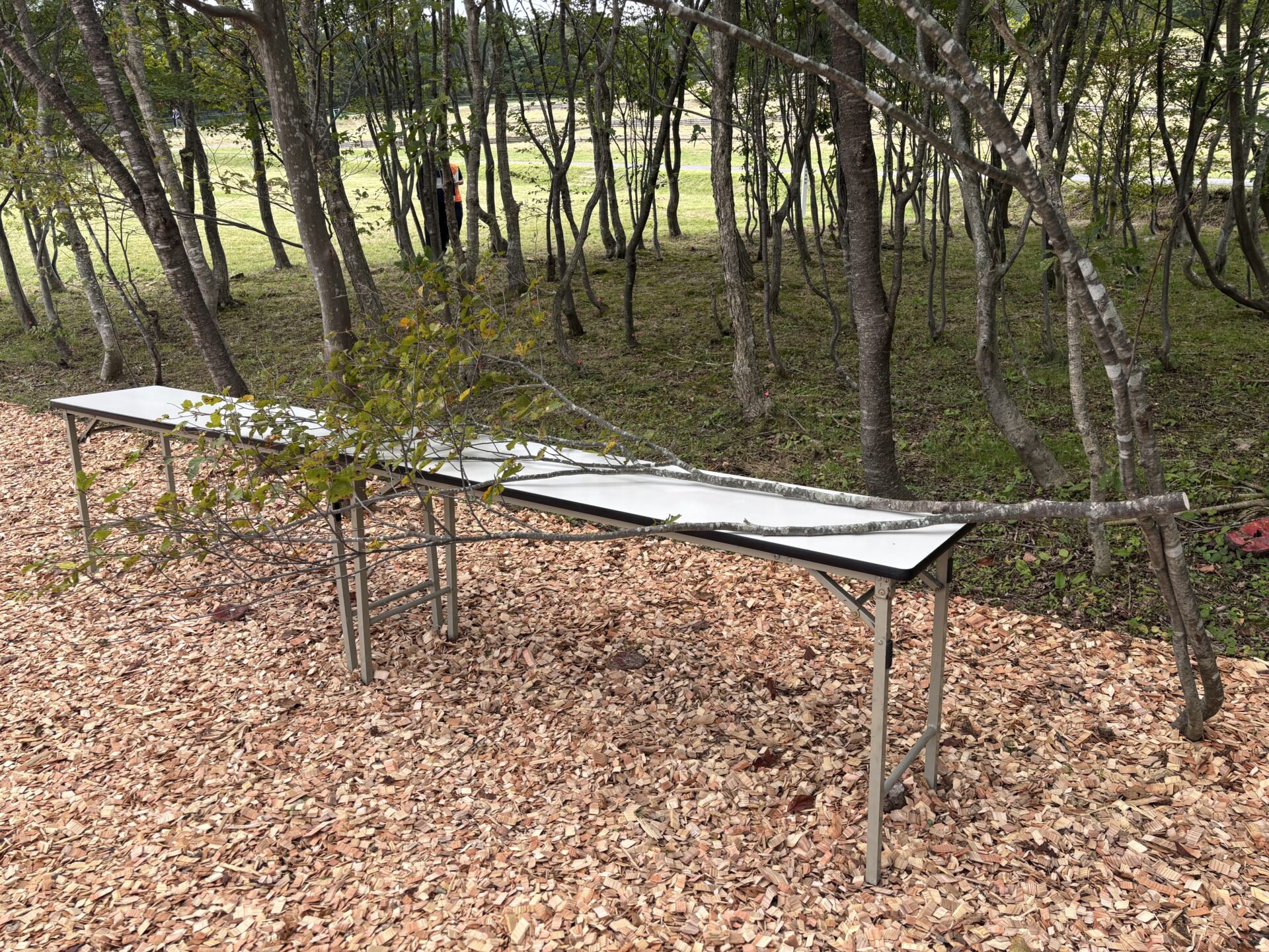 『第48回全国育樹祭 in 宮城県』に協賛しました