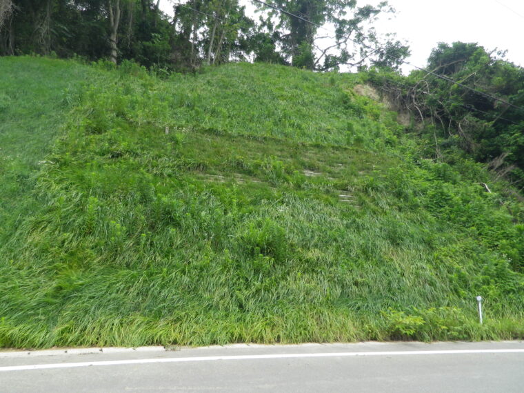 林業専用道富海福山線開設工事