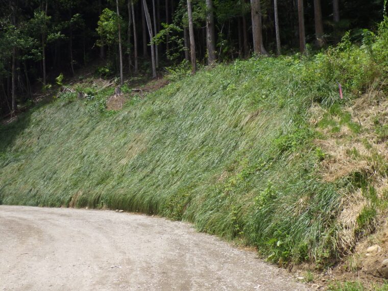 一ノ山水流線 災害復旧工事