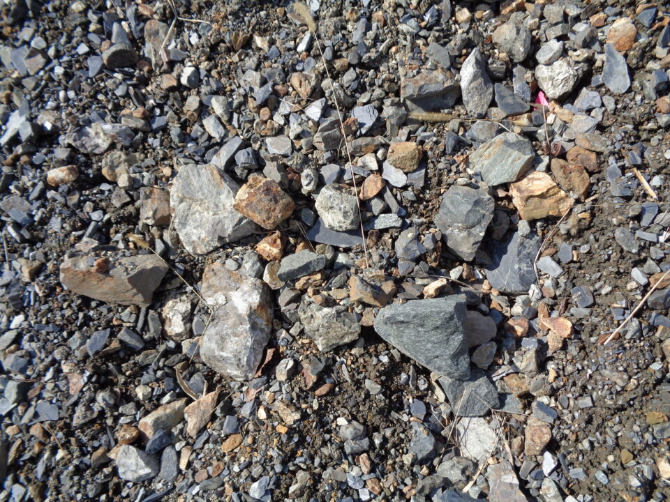 施工前（接写）