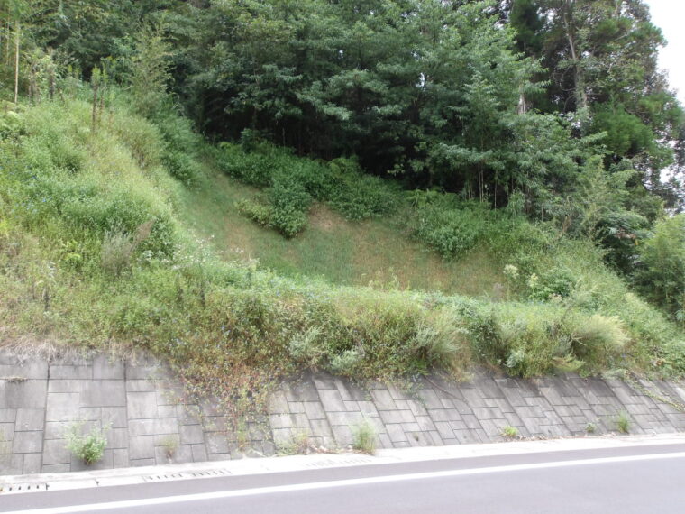 トヤノ沢復旧治山工事