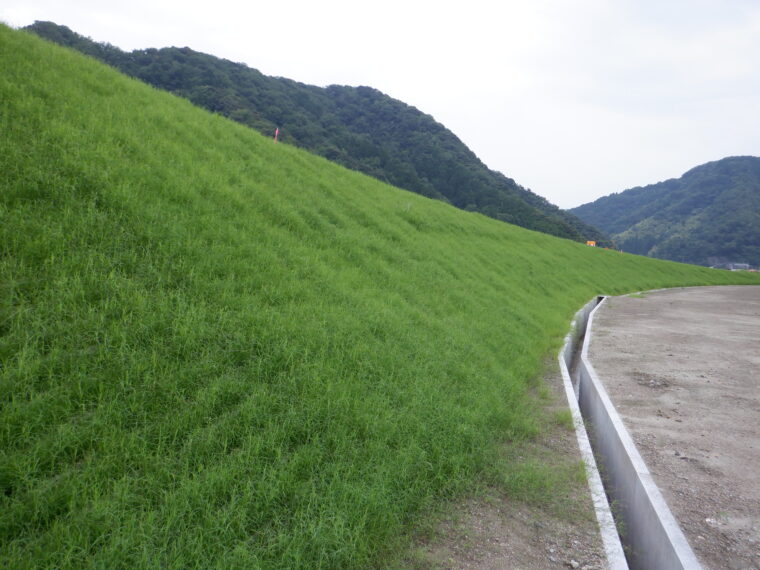 松本新池堤体改修工事