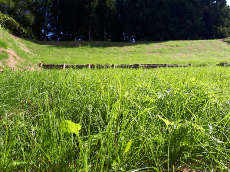 今泉地区道路改良舗装工事