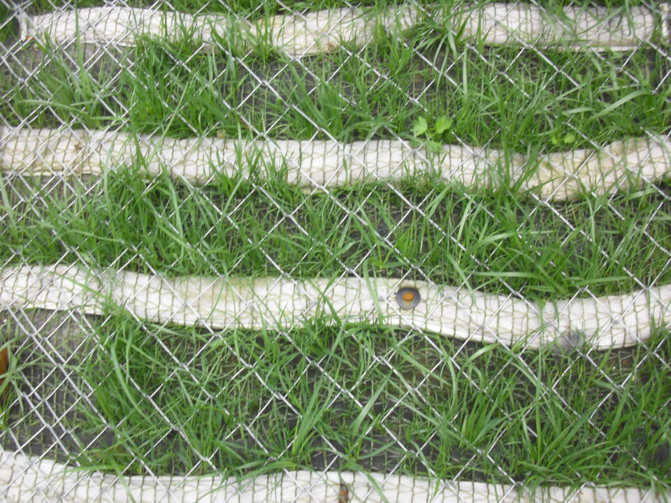 施工後2ヶ月（接写）