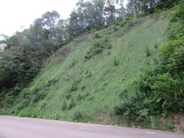 国道436号道路維持修繕工事