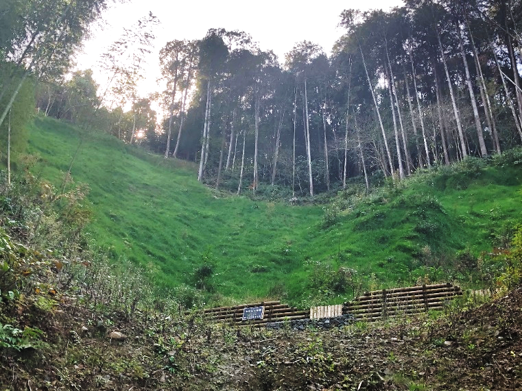 国道51号鹿嶋市地区改良工事