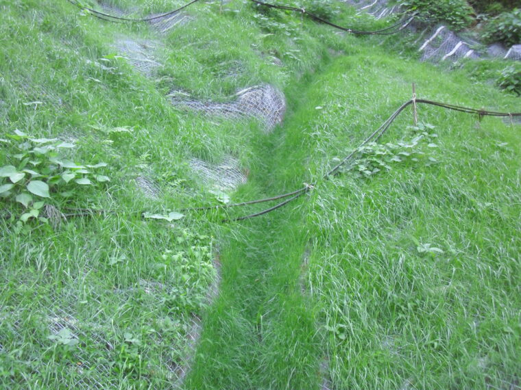 県土保全緊急対策事業工事（山腹工）