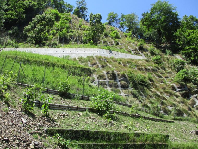 阿蘇管内治山激甚災害対策特別緊急事業工事