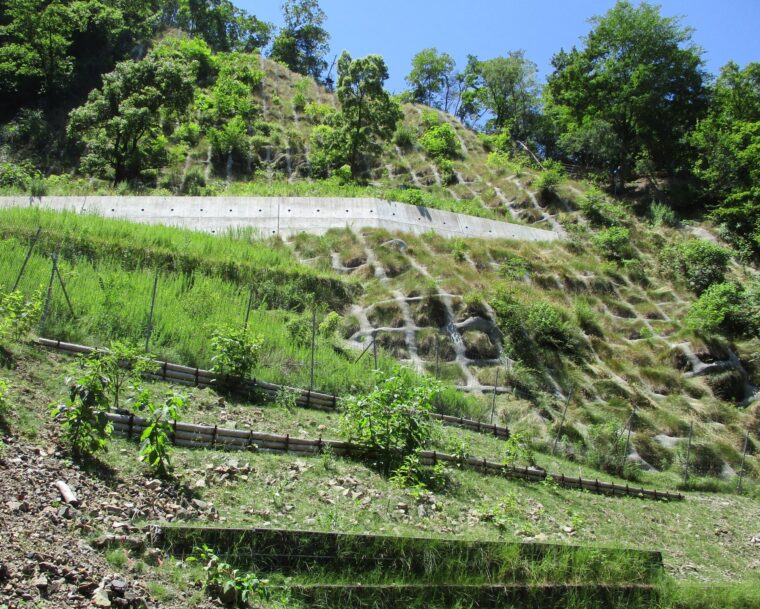 佐渡一周線県単道路改善工事