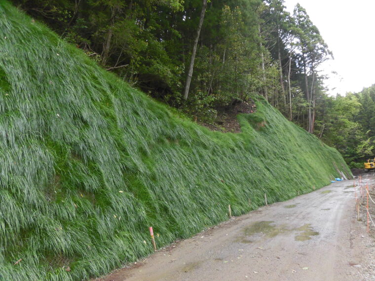 道路法面対策工事