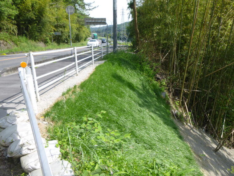 河川堤防維持管理低減(試験施工)