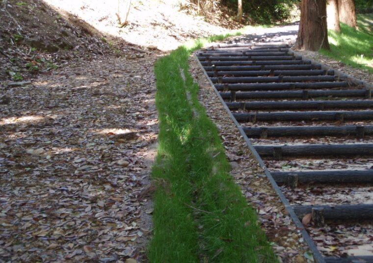 奥地保安林保全緊急対策事業