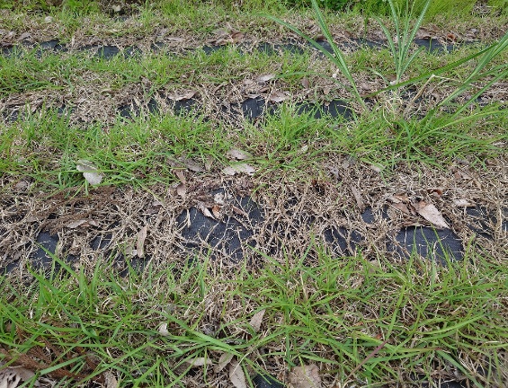 施工後1年1ヶ月