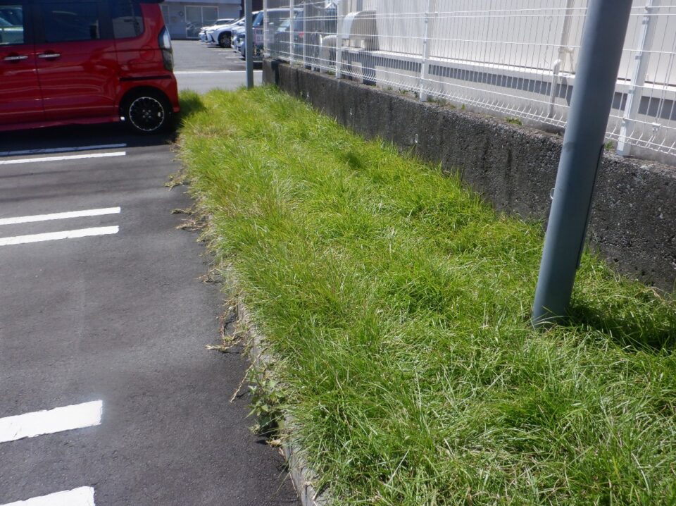 施工後1年5ヶ月