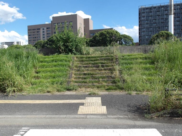 川辺展望台草刈軽減対策(試験施工)