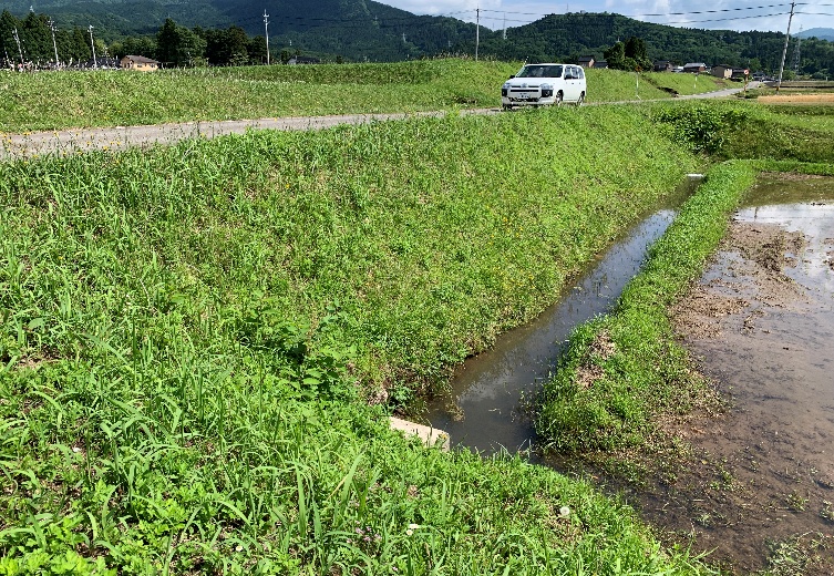 河川堤防維持管理低減(試験施工)
